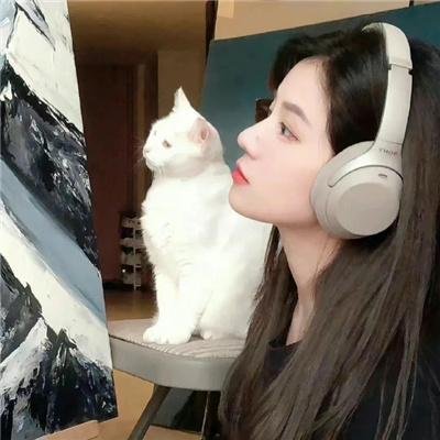 请求庇护